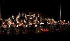 Liechtenstein Symphony Orchestra will host the ICMA Gala in 2021